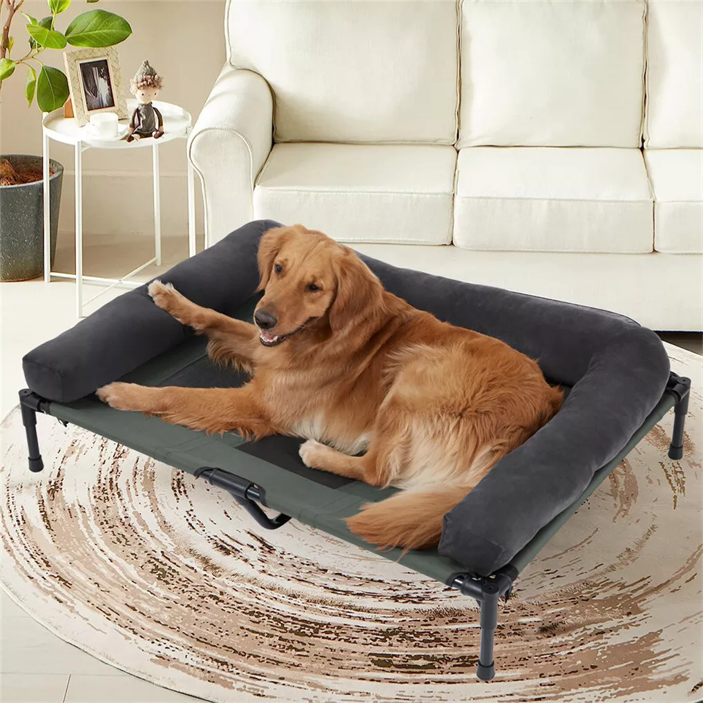 เตียงนอนสุนัขกลางแจ้ง BINGOPAW - Bed Outdoor Camping บทวิจารณ์และราคา