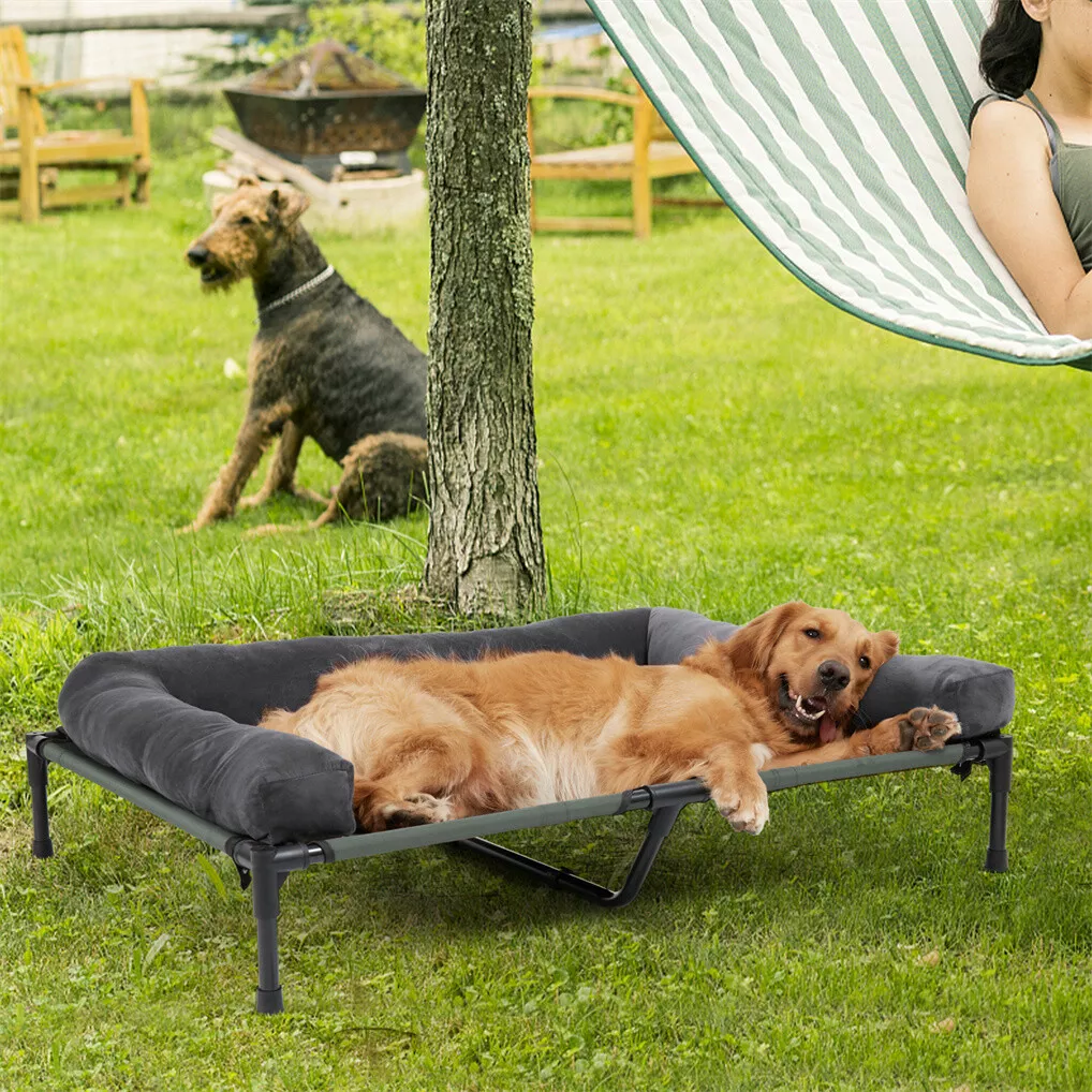 เตียงนอนสุนัขกลางแจ้ง BINGOPAW - Bed Outdoor Camping บทวิจารณ์และราคา