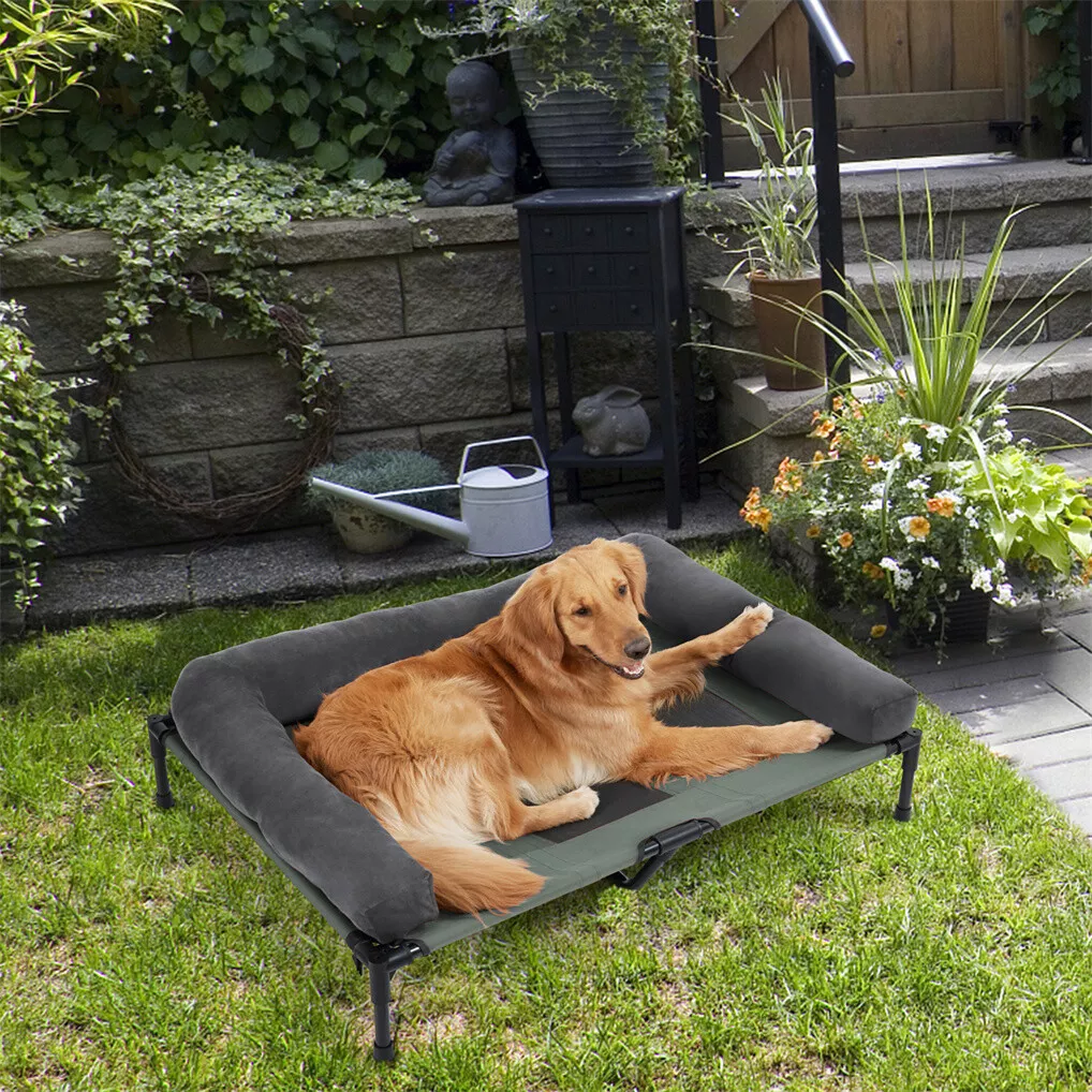 เตียงนอนสุนัขกลางแจ้ง BINGOPAW - Bed Outdoor Camping บทวิจารณ์และราคา